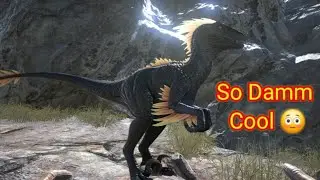 Taming a Speedy Ride | Ark Mobile Revamp