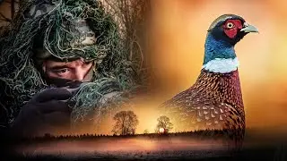 Je photographie l'oiseau le plus color&eacute; de la campagne