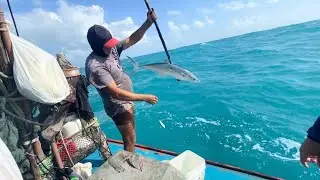 Navegamos 28km em busca do peixe mais infelizmente eles estão de férias , pescaria em alto mar 🌊 