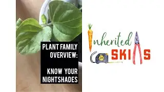 Quick Gardening overview of the Nightshade or Solanaceae Family
