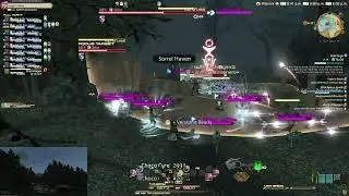 FFXIV ARR - Odin Fate