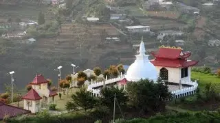 single tree temple nuwaraeliya