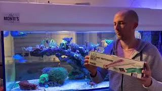 Neue Algenrefugium Lampe / Tunze LED Eco Chic Refugium