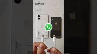 Transfer WhatsApp from iPhone to Android for Free! 🙌    #whatsapptransfer #TransferWhatsApp #Android