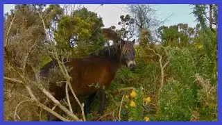 Source to Sea - Badgworthy Water - Malmsmead - East Lyn River Lynmouth Part 2