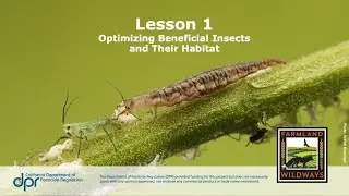 Optimizing Beneficial Insects and Their Habitat Webinar