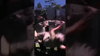 US Marines Riot Shield Training 🪖 #military #shorts