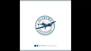 create wonderful aviation logo design