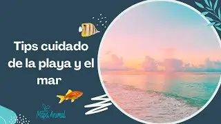 TIPS para el CUIDADO de la PLAYA y el MAR