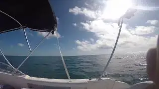 GOPRO: Elliott Key Snorkeling & Lobstering//Aug 2016