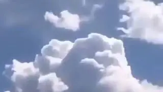 Flying Horse Meme