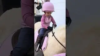 Basically a mounting professional 🙌🏻 #dotdot #ponie #welshie #welsha #palamino #ponyclub #lemieux