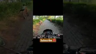 🌺🌺🌺🏍️#bikeride #yamahaszrr #bikelover #loveride #automobile #motovlogwithgoprohero9 #goprokiller