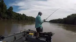 KAW BUMPING BLUE