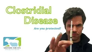 Clostridial Disease - The Silent Killer
