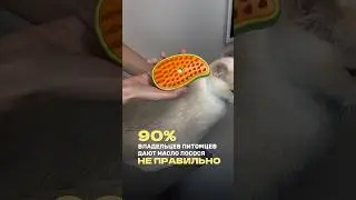 Эти ошибки делают 90% Копируйте wb арт. #WW179647 , инструкция правильного применения⬇️ #cat #top