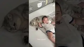 Smart Cat Gets a Baby Surprise ❤️😍