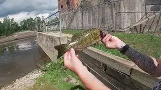 Portland Dam Summer Bass Beatdown