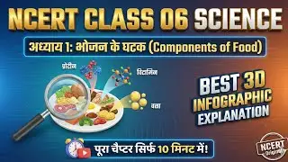 Ncert Science Class 06 | Chapter 01 |Component Of Food| One Shot Video| In Hindi | Best Explanation 