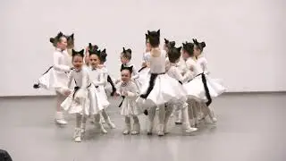 Зразковий хореографічний ансамбль 