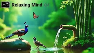 Soothing Relaxation | Relaxing Piano Music & Water Sounds for Sleep, Meditation, Spa & Yoga 