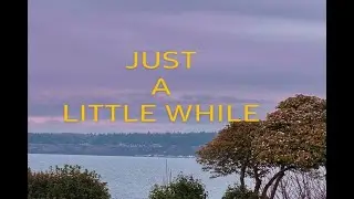 JUST A LITTLE WHILE
