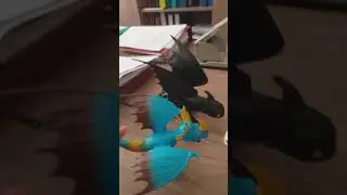 Жизнь Дневной и Начной фури