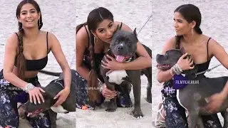 Poonam Pandey ne Juhu beach par apne pet dog ke sath ki masti 🐶