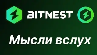 Мои мысли о будущем Битнест