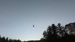 Blade 120s with new pilot. 20 minutes of flight experience