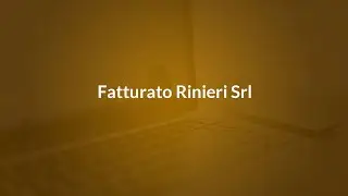 Fatturato RINIERI SRL