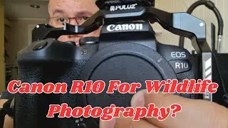 Улучшите свою камеру Canon R10 и объектив RF 100-400 мм для фотосъемки дикой природы!