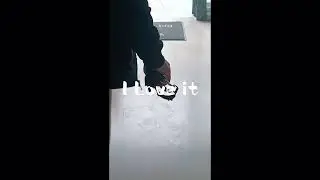 &Alpha;&mu;&alpha;&xi;ί&delta;&iota;&alpha; &sigma;&kappa;ύ&lambda;&omega;&nu; &gamma;&iota;&alpha; &gamma;&alpha;&lambda;&lambda;&iota;&kappa;ό bulldog Pet Mobility 