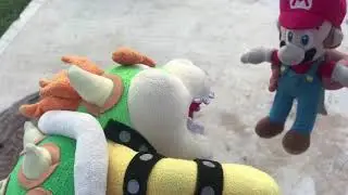 TBFK Short: Mario & Bowser Fight!