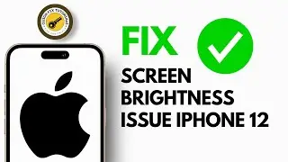 Screen Brightness Issues on iPhone 12, Here is the Fix