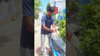 koi fish pond setup ready paniyachi ⁉️🤔#petsvlog #pets #petscorner #tamil #vlog #fish #ytshort