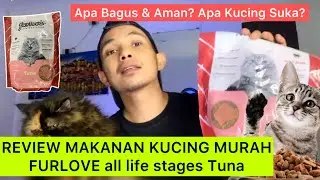 REVIEW MAKANAN KUCING MURAH FURLOVE RASA TUNA untuk segala usia | Review Dry Food Furlove