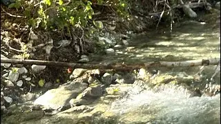 Fishing for trout at Middle Fork Rd Lytle Creek