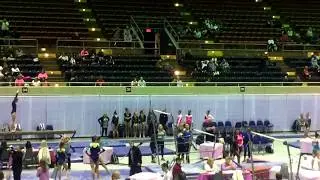 Josie  Level 10 - 2017 Vault - Savannah