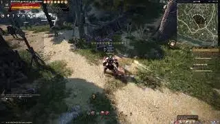Black Desert Online monsters marker Global Lab 2/19/2021