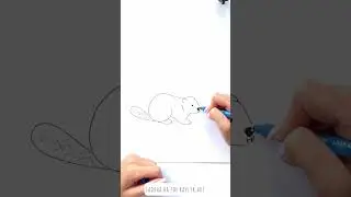 🦫 Easy Beaver Drawing Tutorial for Beginners ✨ Follow Along 📽️ #shorts #drawing #RavlykArt