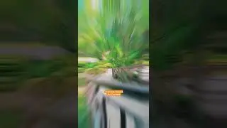 Resort || The Roar Resort Jim Corbett #viralvideo #travel #hotel #resort #resturant #jimcorbett