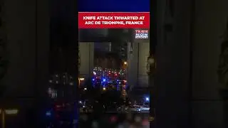 Paris Police Shot A Knife-Wielding Man Who Tried To Attack Officers At Arc De Triomphe #shorts