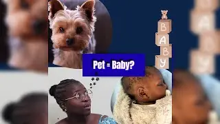Having a Dog Before Kids: Does It Really Help? (Parent Reveals All) 🐶👶