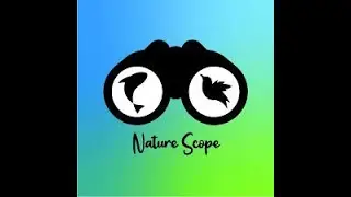 Nature Scope &mdash; Палм-Бич и гоферовые черепахи