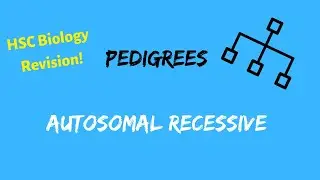 HSC Biology Pedigrees | Autosomal Recessive Mode of Inheritance