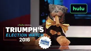 Donald Trump Supporters Get Owned By Bilingual Reporter | Triumph | Hulu