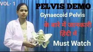 PELVIS / TYPES/JOINTS/LIGAMENT/LANDMARKS/ By Sweta Parikh/ Female Pelvis/pelvis demo/pelvis bone