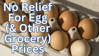 Egg Prices Spike as US Grocery Costs Climb Ahead of the Holidays