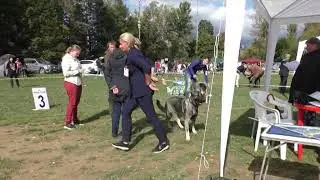 Сравнение СЮ